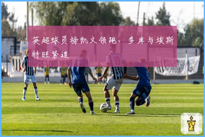 英超球员榜凯文领跑，多库与埃斯特旺紧追